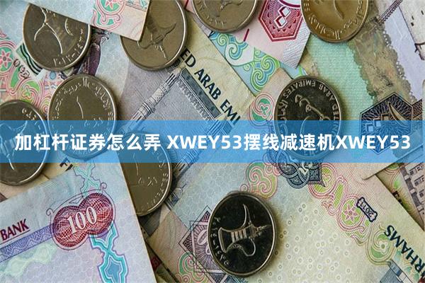 加杠杆证券怎么弄 XWEY53摆线减速机XWEY53