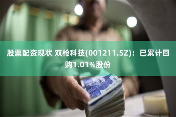 股票配资现状 双枪科技(001211.SZ)：已累计回购1.01%股份