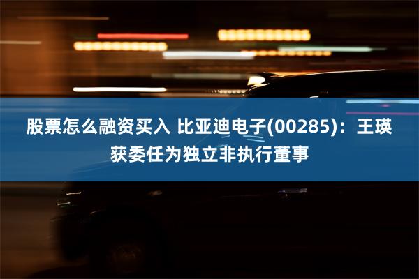 股票怎么融资买入 比亚迪电子(00285)：王瑛获委任为独立非执行董事