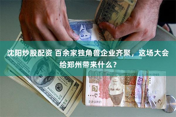 沈阳炒股配资 百余家独角兽企业齐聚，这场大会给郑州带来什么？