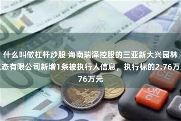 什么叫做杠杆炒股 海南瑞泽控股的三亚新大兴园林生态有限公司新增1条被执行人信息，执行标的2.76万元