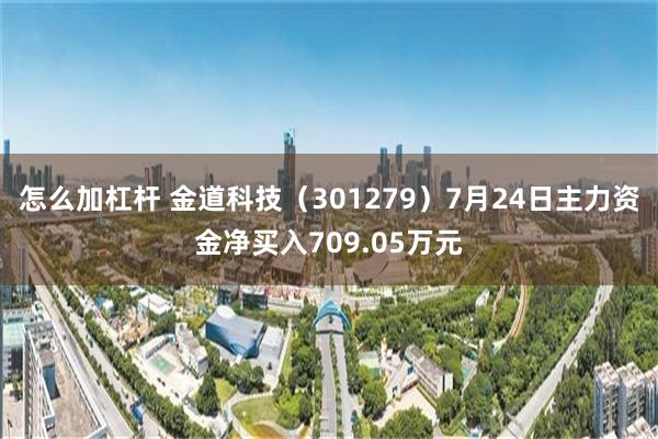 怎么加杠杆 金道科技（301279）7月24日主力资金净买入709.05万元