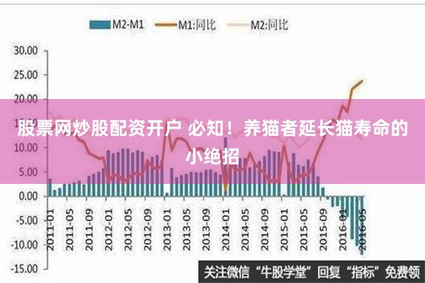 股票网炒股配资开户 必知！养猫者延长猫寿命的小绝招